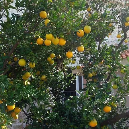 Getaway Seaside Sweet בית נופש זאטון