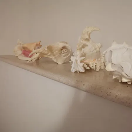 בית נופש Getaway Seaside Sweet זאטון