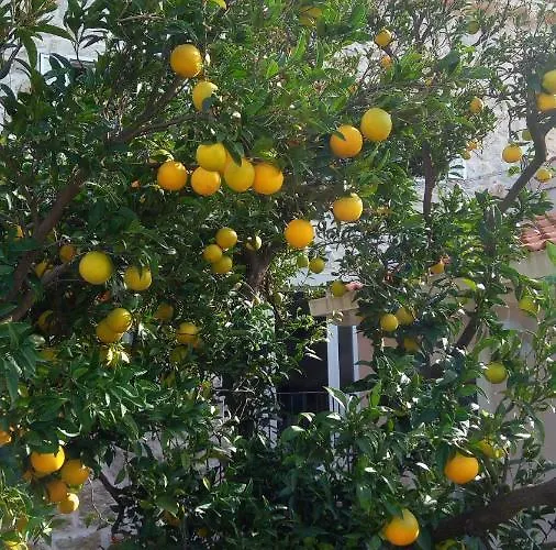 Getaway Seaside Sweet Hébergement de vacances Zaton (Dubrovnik-Neretva)