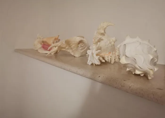 Hébergement de vacances Getaway Seaside Sweet Zaton (Dubrovnik-Neretva)